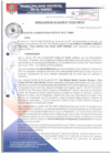 Vista preliminar de documento RA178-2017