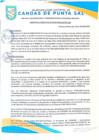 Vista preliminar de documento Ordenanza municipal que aprueba el Plan de Acción Distrital de Seguridad Ciudadana 
