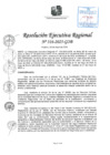 Vista preliminar de documento RER 316-2025-GOB