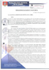 Vista preliminar de documento RA191-2017