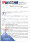 Vista preliminar de documento RA206-2017