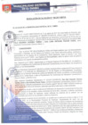 Vista preliminar de documento RA196-2017