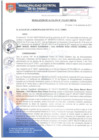 Vista preliminar de documento RA213-2017