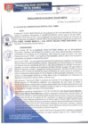 Vista preliminar de documento RA219-2017