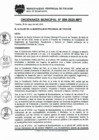 Vista preliminar de documento Ordenanza Municipal 009-2025