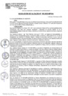 Vista preliminar de documento RA25N185