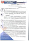 Vista preliminar de documento RA257-2017