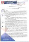 Vista preliminar de documento RA255-2017