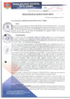 Vista preliminar de documento RA304-2017