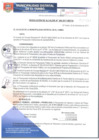 Vista preliminar de documento RA306-2017