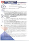 Vista preliminar de documento RA307-2017