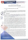 Vista preliminar de documento RA309-2017