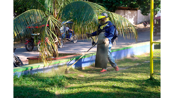 MPSM intensifica labores de desmalezado y limpieza en parques de Tarapoto.