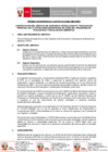 Vista preliminar de documento TDR REQ. 2647