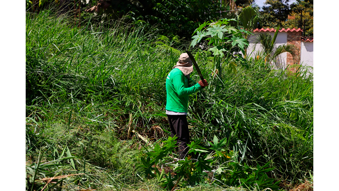 Trabajos de desmalezado y limpieza en preparaciΓ³n para la jornada de reforestaciΓ³n por el DΓa Mundial del Medio Ambiente.