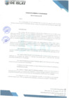 Vista preliminar de documento RG 020-2025-MDI-GM
