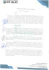 Vista preliminar de documento RG 022-2025-GM-MDI