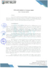 Vista preliminar de documento RG 023-2025-GM-MDI