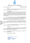 Vista preliminar de documento RESOLUCION DE ALCALDIA N°080-2025