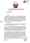 Vista preliminar de documento RD N°501-2025