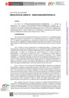Vista preliminar de documento RU-0219-2025-MIDIS-PNPAIS-UA