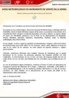 Vista preliminar de documento BOLETIN_MET_VIENTO_0349