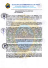 Vista preliminar de documento R.D. N° 119-2025-MPP-OGAT