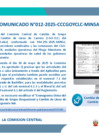 Vista preliminar de documento Comunicado_12