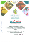 Vista preliminar de documento BASES DEL PROCESO CONCURSABLE PROCOMPITE 2025