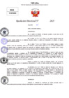 Vista preliminar de documento Resolucion Directoral N° 003304-2025