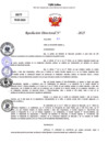 Vista preliminar de documento Resolucion Directoral N° 003305-2025