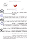 Vista preliminar de documento Resolucion Directoral N° 003309-2025