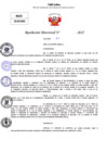 Vista preliminar de documento Resolucion Directoral N° 003317-2025