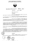 Vista preliminar de documento 2917