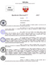 Vista preliminar de documento Resolucion Directoral N° 003320-2025