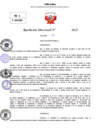 Vista preliminar de documento Resolucion Directoral N° 003324-2025