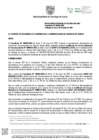 Vista preliminar de documento Resolución Gerencial N.° 223-2025-GDE-MSS