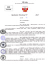 Vista preliminar de documento Resolucion Directoral N° 003333-2025