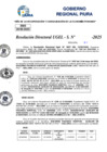 Vista preliminar de documento Resolucion Directoral N° 003336-2025