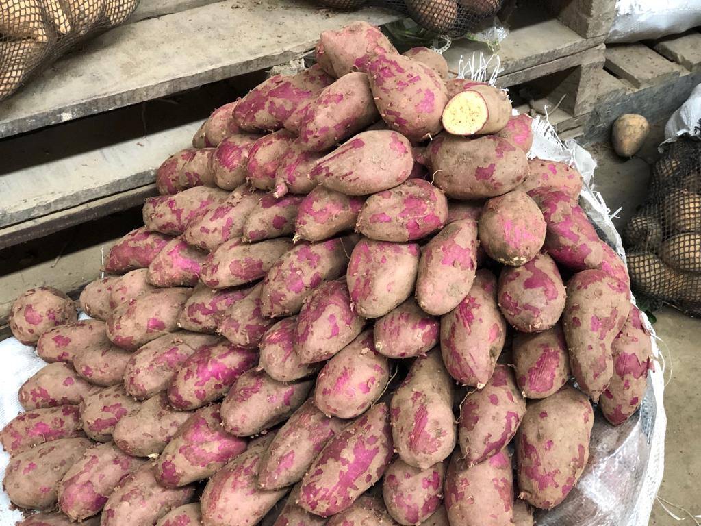 MIDAGRI