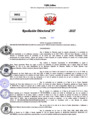 Vista preliminar de documento Resolucion Directoral N° 003339-2025