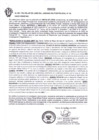 Vista preliminar de documento EXP 0031-2025-04-15