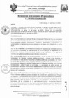 Vista preliminar de documento RCO-N°198-2025-CO-UNISCJSA