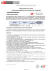 Vista preliminar de documento BASES CAS N° 004-2025