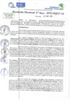 Vista preliminar de documento RD N 00030