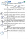 Vista preliminar de documento RD N 00045