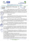 Vista preliminar de documento RD N 00100
