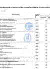 Vista preliminar de documento ANEXO 06 MCMN 183-2025-GRM