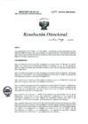 Vista preliminar de documento RD N° 190-2025-DG-INMP/MINSA