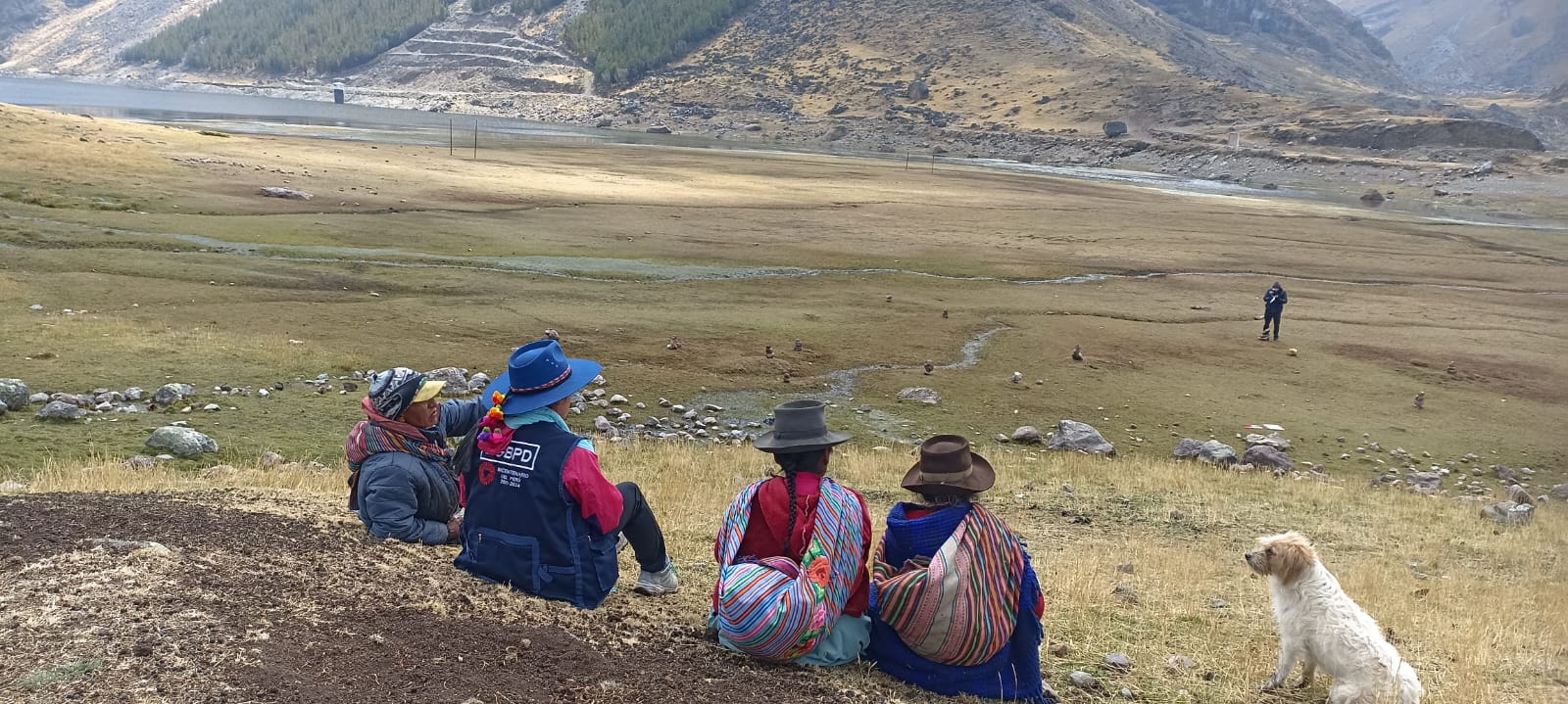 Búsqueda de personas desaparecidas